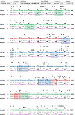 Missense Mutations of Human Hsp60: A Computational Analysis to Unveil Their Pathological Significance